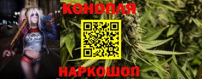 ПСИЛОЦИБИНОВЫЕ ГРИБЫ Нальчик