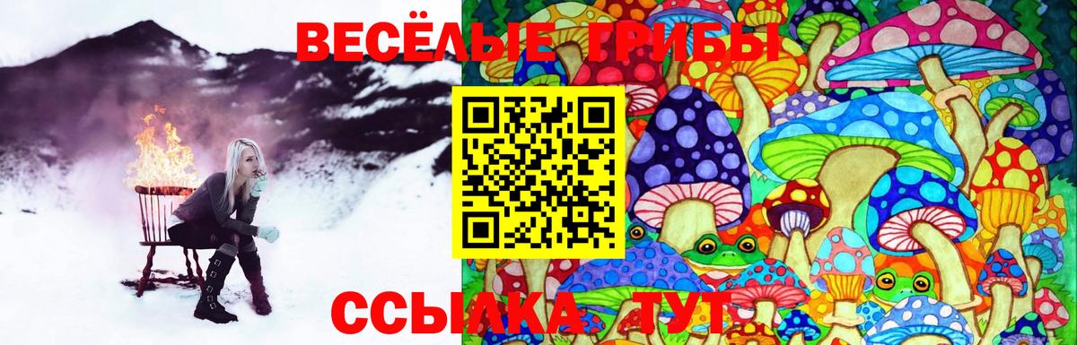 Тобольск  Галлюциногенные грибы Magic Shrooms  Галлюциногенные грибы MAGIC MUSHROOMS  Вход с VPN 